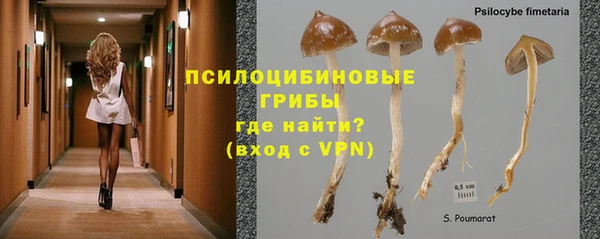 бутират Майский