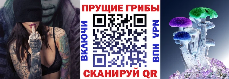 Галлюциногенные грибы Psilocybine cubensis Купить закладки Кизляр