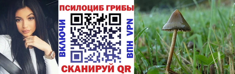 Псилоцибиновые грибы прущие грибы Кизляр