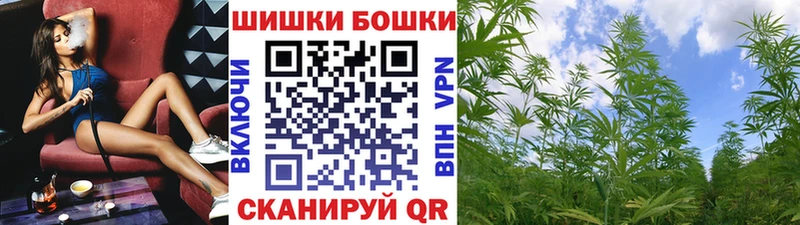 Бошки Шишки семена Купить Кизляр